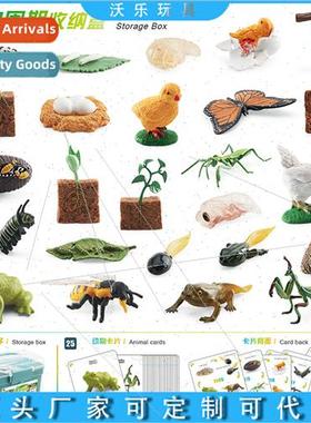 Plant Growth Cycle Bee Butterfly Rooster Frog Praying Mantis