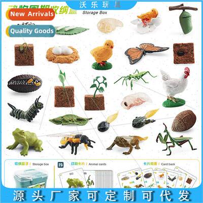 Plant Growth Cycle Bee Butterfly Rooster Frog Praying Mantis