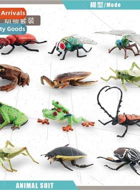 Wild insect model asphodel rowan beetle grasshopper big horn