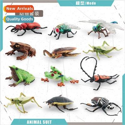 Wild insect model asphodel rowan beetle grasshopper big horn