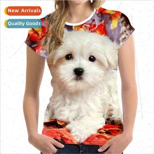 T-shirt Women Printed Urban Casual Loose Type Pullover Round