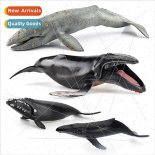 model large fin Ocean arm humpback giant whale
