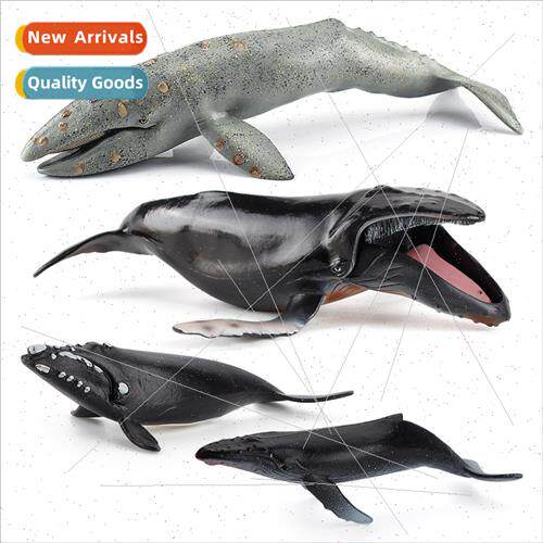 Ocean whale humpback whale model large fin whale giant arm w