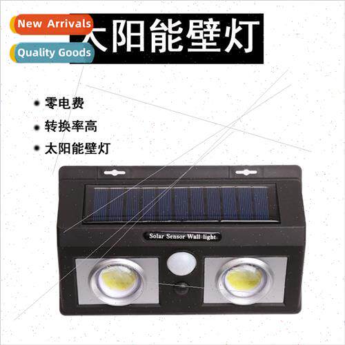 Double Head Solar Wall ght COB Human Sensor Outdoor Waterpro