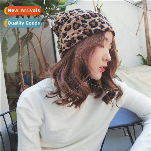 ins new leopard print woolen hat Ms. Autumn winter knted hat