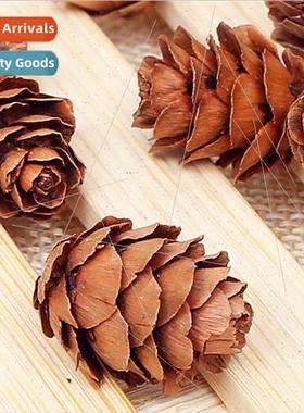 Natural pine cones 2-3cm pine balls pine flowers dried flowe