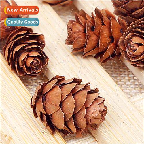 Natural pine cones 2-3cm pine balls pine flowers dried flowe