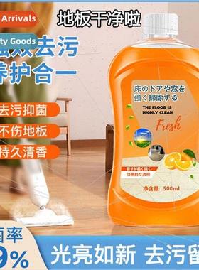 Floor Cleaner Tile Wood Floor Cleaner Sterilizing Mopping Ho