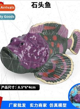 Solid tiger fish rose venomous vally fish box triggerfish st