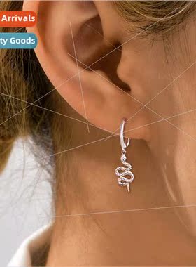 Irregular winding snake earrings hip hop punk fashion nd win