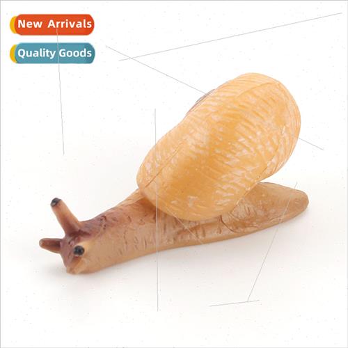 Snail cub model children science education cognive static ar