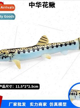 Marine life animal simulation solid model Chinese loach flow