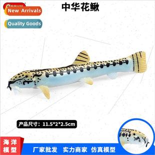 Marine life animal simulation solid model Chinese loach flow