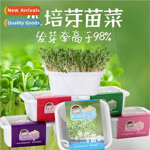 Hydroponic Vegetable Equipment Soilless Plant Plants Kids Ki