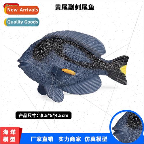 model ornaments freshwater deep sea yellowtail vice spiny ta