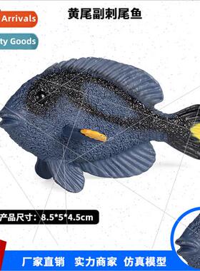 model ornaments freshwater deep sea yellowtail vice spiny ta