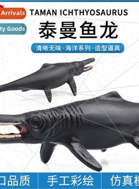 Ancient animal model mini Taman fish dragon nautilus starfis