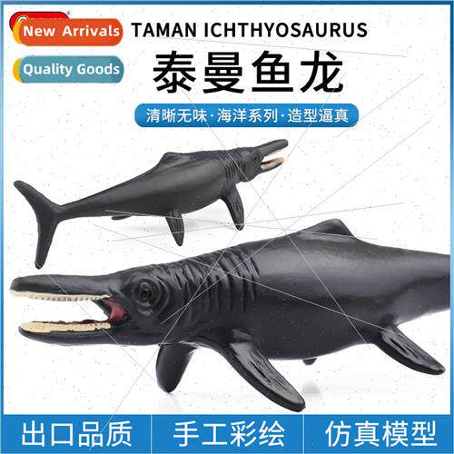 Ancient animal model mini Taman fish dragon nautilus starfis