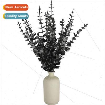 Black Gold Whe Eucalyptus Money Leaf Branch mulation Greener