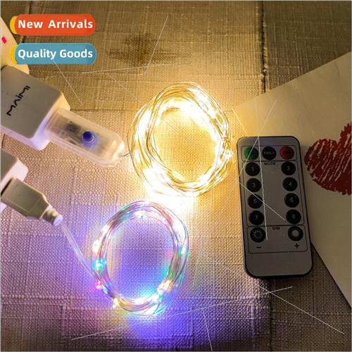 USB remote control multi-purpose led copper wire lights stri
