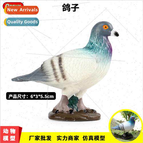 solid bird animal model dove pigeon pigeon peace dove early
