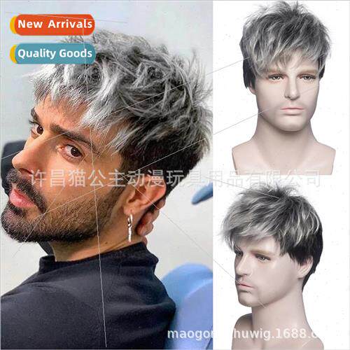 Men Wigs lver Gray Gradient Black Handsome Short Hair High-t