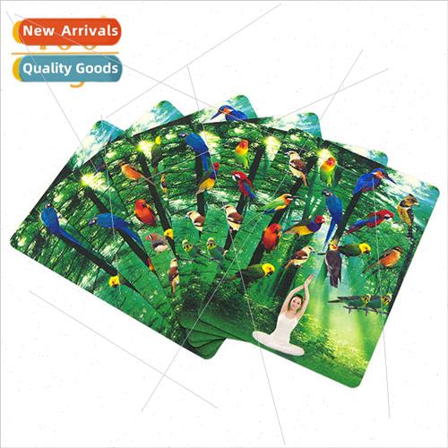 Birdwatcher Bird Counting Novelty Toys Poker Cards Close-up