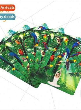 Birdwatcher Bird Counting Novelty Toys Poker Cards Close-up