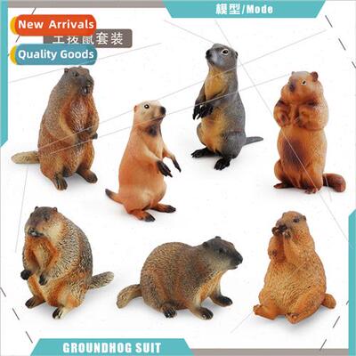 Wild animal model groundhog squirrel chipmunk est grasslanim