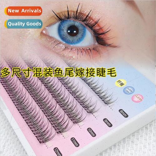 Fishtail False Eyelashes 5 Rows Mixed Eyelash Mermaid False