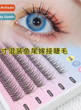 Fishtail False Eyelashes 5 Rows Mixed Eyelash Mermaid False