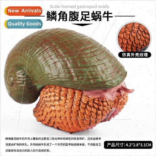 science education model solid Indian Ocean deep sea creature