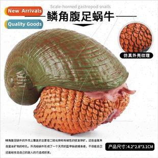 solid Indian Ocean science sea model deep creature education