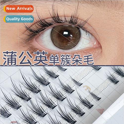 Dandelion False Eyelash ngle Cluster Bulk Segmented Extensio