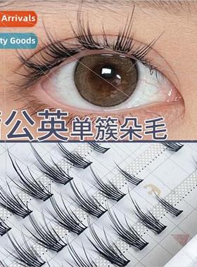 Dandelion False Eyelash ngle Cluster Bulk Segmented Extensio