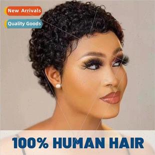 hair african small curly wig women short curly hair mechanis