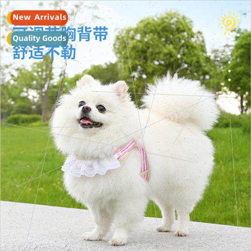 Lace Cat Outdoor Leash Puppy Dog Anti-breakaway Chest Harnes
