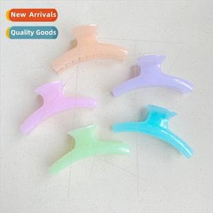new hair back jelly cream female clip grab plate Oversized