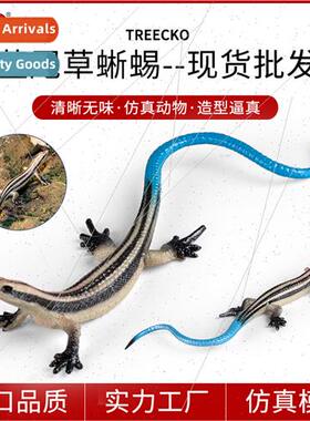Solid wild reptile model lizard grass lizard four-legged sna