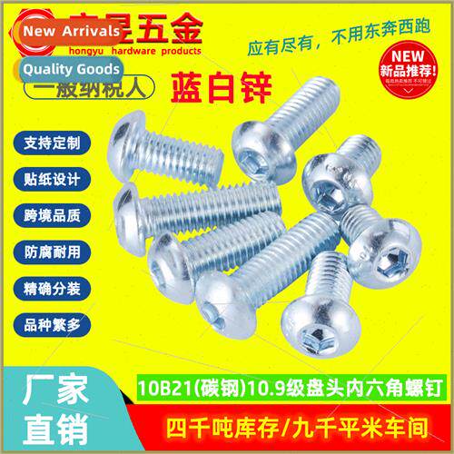 Hexagon socket flat round head machine screws 10B21 zinc blu
