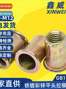 Flat head striped rivet nut Iron color zinc plated flat head