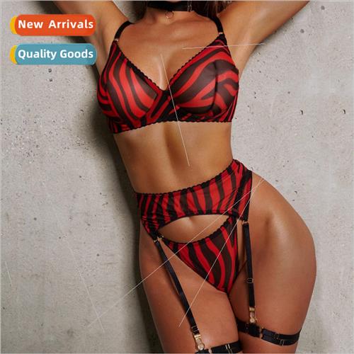 2022 Sexy Thin Leopard Print Bra Set Mesh Printed ngerie Wom