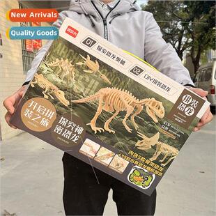 Children assembled dinosaur toys gift box Tyrannosaurus rex