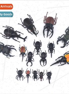 Insect beetle model toys realistic image a variety s safe me