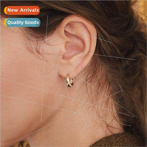 Europe Premium Feeling Stainless Earrings Tanium Steel Wide