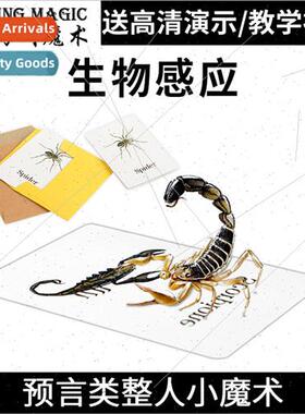 Integral magic Bio-sensory Dangerous prophecy Animal prophec