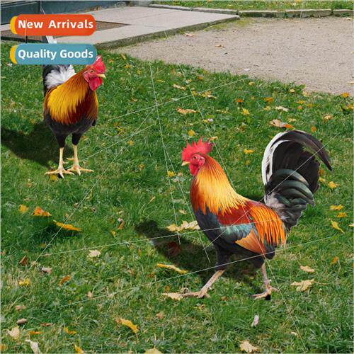 Stereo mulation Rooster Patio Floor Yard art Garden Outdoor