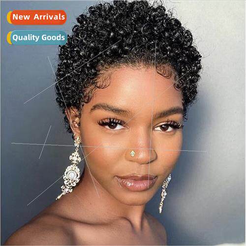 Europe wig short hair ladies fluffy black afro wig synthetic