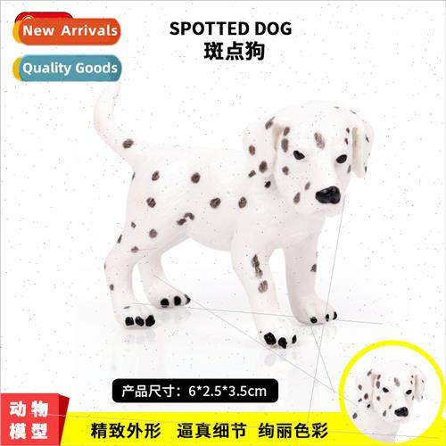 Animal model solid wild dog miniature spotted dog pet dog ch