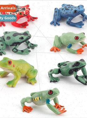 Tropical rainest animals frogs e frog model static poisonous